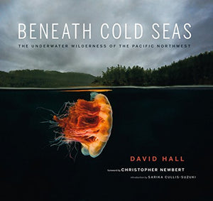 Beneath Cold Seas 