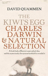 The Kiwi's Egg 