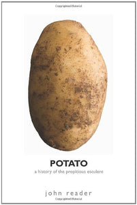 Potato 