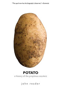 Potato 