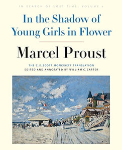 In the Shadow of Young Girls in Flower 