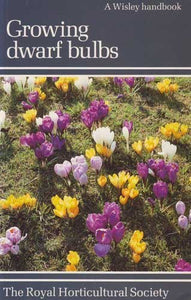 Growing Dwarf Bulbs 