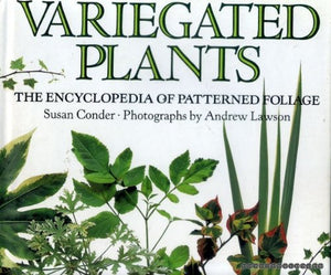 Variegated Plants 