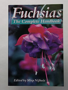 Fuchsias 