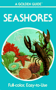 Seashores 