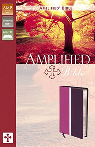 Amplified Bible, Imitation Leather, Pink/Purple 