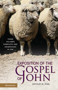 Exposition of the Gospel of John HC - CBD 