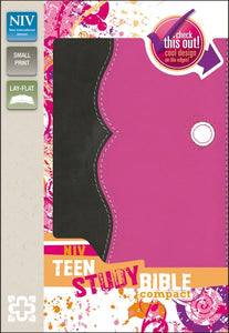 NIV Teen Study Bible Compact 