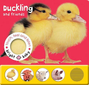 Duckling and Friends 