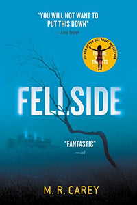 Fellside 