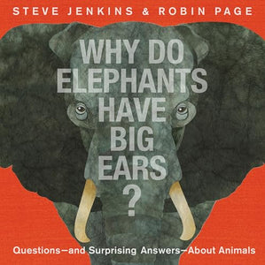 Why Do Elephants Have Big Ears? 