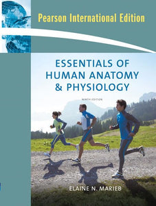 Essentials of Human Anatomy & Physiology 