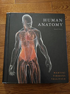 Human Anatomy 