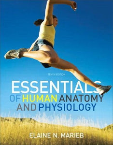 Essentials of Human Anatomy and Physiology with Essentials of Interactive Physiology CD-ROM 