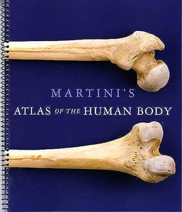 Martini's Atlas of the Human Body (ME Component) 