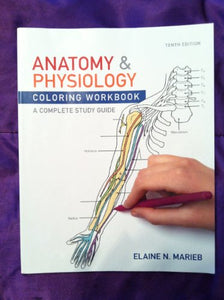 Anatomy & Physiology Coloring Workbook 