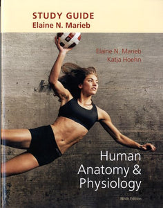 Study Guide for Human Anatomy & Physiology 