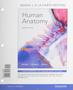 Human Anatomy 