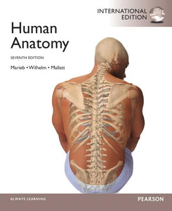 Human Anatomy 