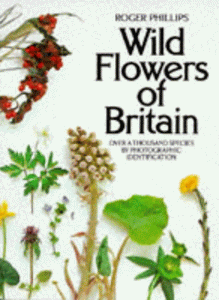 Wild Flowers of Britain 