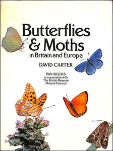 Butterflies and Moths in Britain and Europe 