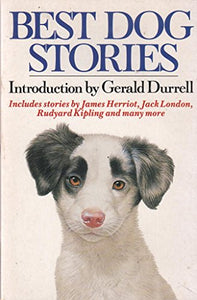 Best Dog Stories 