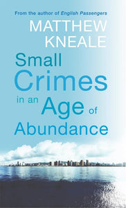 Small Crimes in an Age of Abundance 