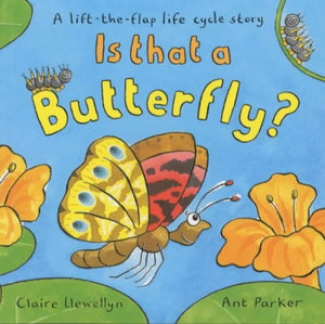 Is That A Butterfly?Lift-The-Flap 