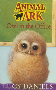 Owl in the Office 