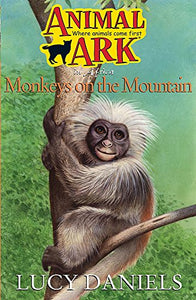 Monkeys on the Mountain 