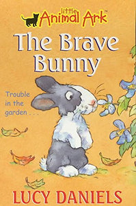 The Brave Bunny 