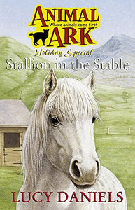 Stallion in the Stable 