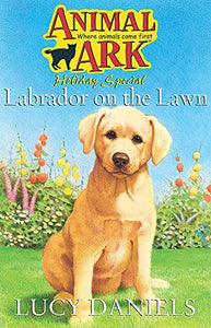 Labrador on the Lawn 