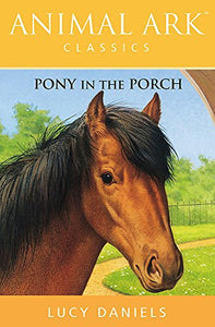 Pony in the Porch 