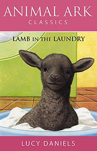 Lamb in the Laundry 