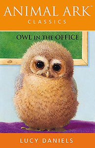 Owl in the Office 