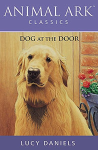 Dog at the Door 