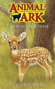 Fawn in the Forest 