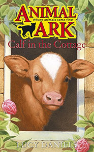 Calf in the Cottage 