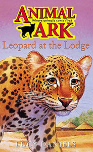 Leopard at the Lodge 