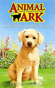 Labrador on the Lawn 