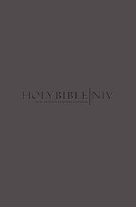 NIV Popular Soft-tone Bible 