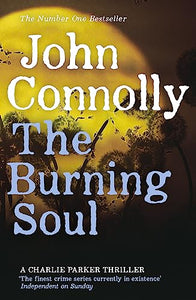 The Burning Soul 