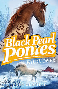 Black Pearl Ponies: Wildflower 