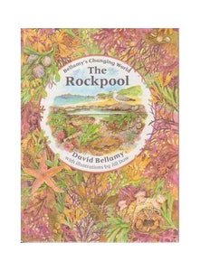 The Rockpool 