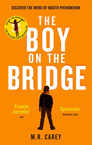 The Boy on the Bridge 