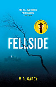 Fellside 