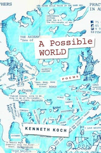 A Possible World 