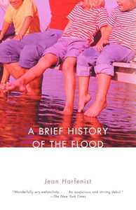 A Brief History of the Flood 