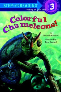 Colorful Chameleons 